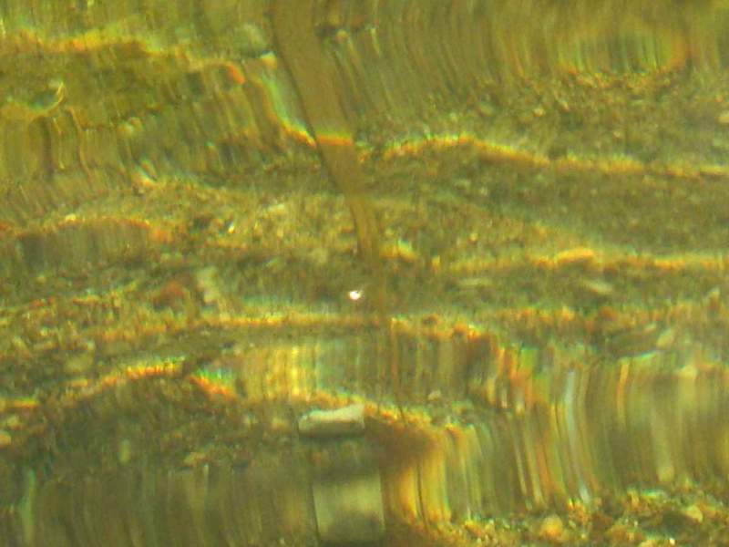 farbige Kaustiken im Wasser