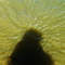 click!