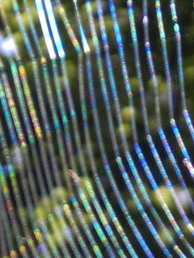 Detail 1
