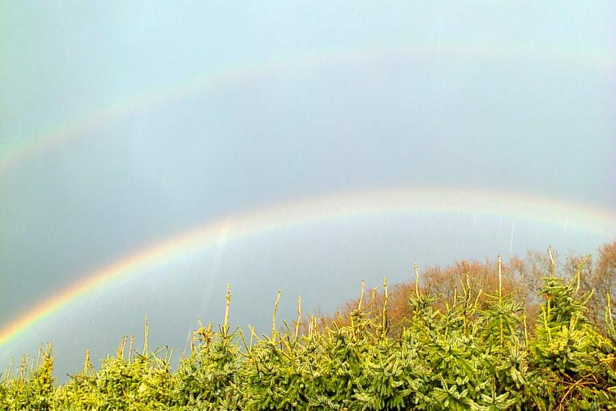 gespaltener Regenbogen
