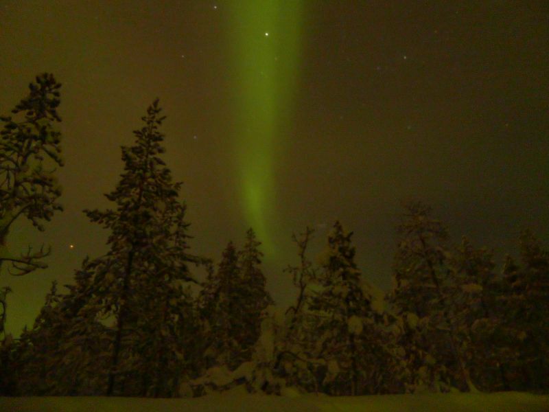 Nordlicht 1
