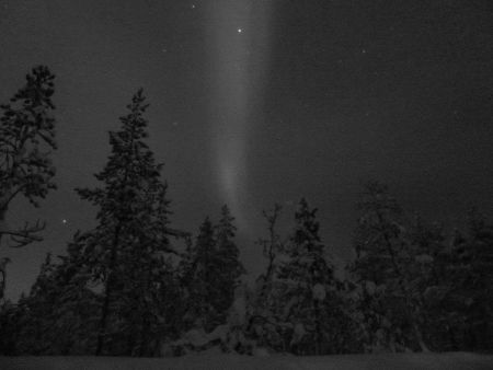 Nordlicht (Graustufen)
