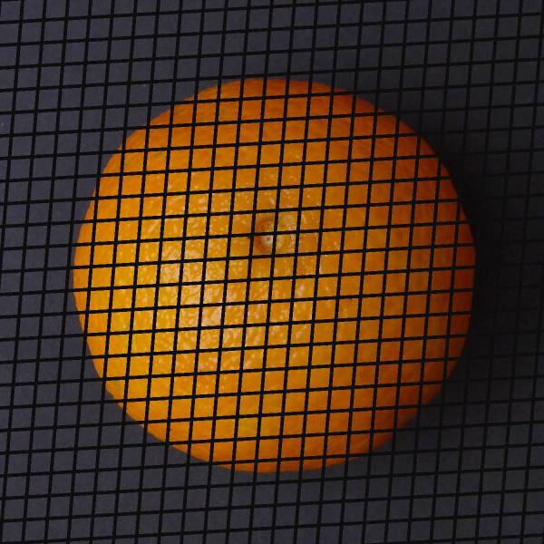 tangerines